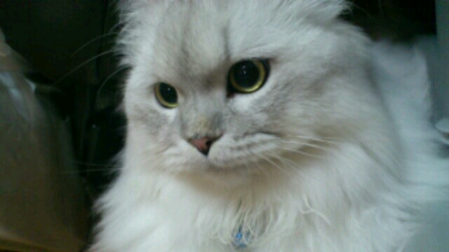 デザフェスvol.35 ブース確保しました！