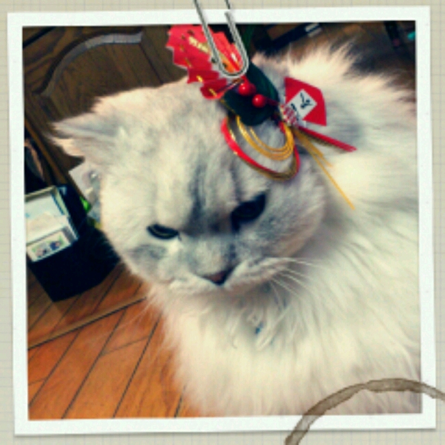 新年あけましたね！